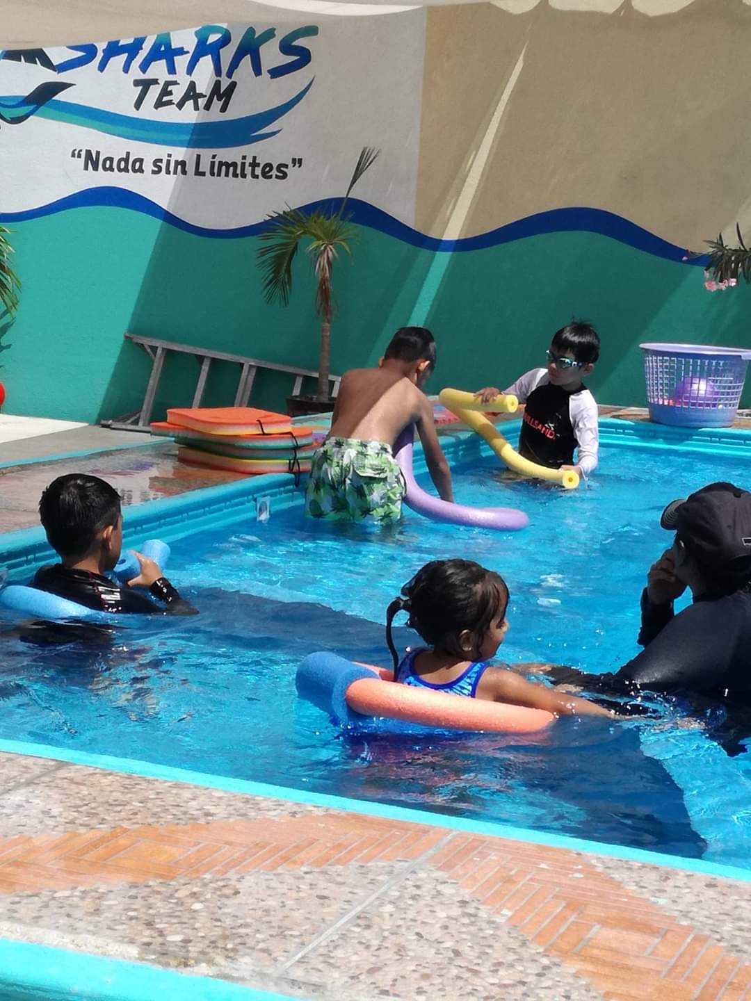 Sharks Team Escuela de Natacion - Escuela deportiva en Villahermosa, Tabasco - Vista 4 de 8 de las instalaciones de la academia