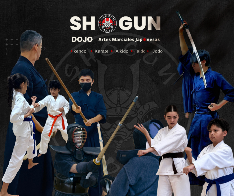 Shogun Dojo Budokan Cancún - Escuela deportiva en Cancún, Quintana Roo - Vista 4 de 5 de las instalaciones de la academia