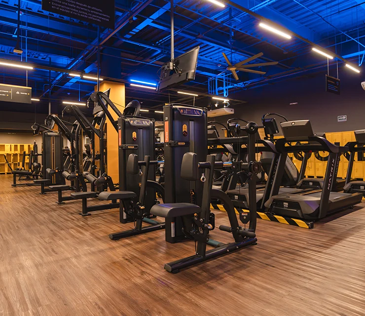 Smart Fit Equus Chihuahua - Gimnasio en Chihuahua, Chihuahua - Vista 7 de 7 del perfil
