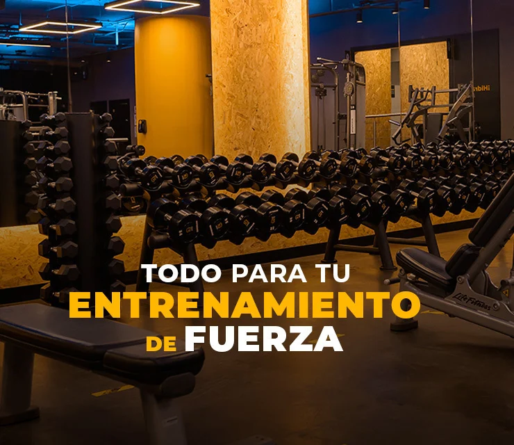 Smart Fit Plaza Real Saltillo - Gimnasio en Saltillo, Coahuila - Vista 4 de 7 del perfil