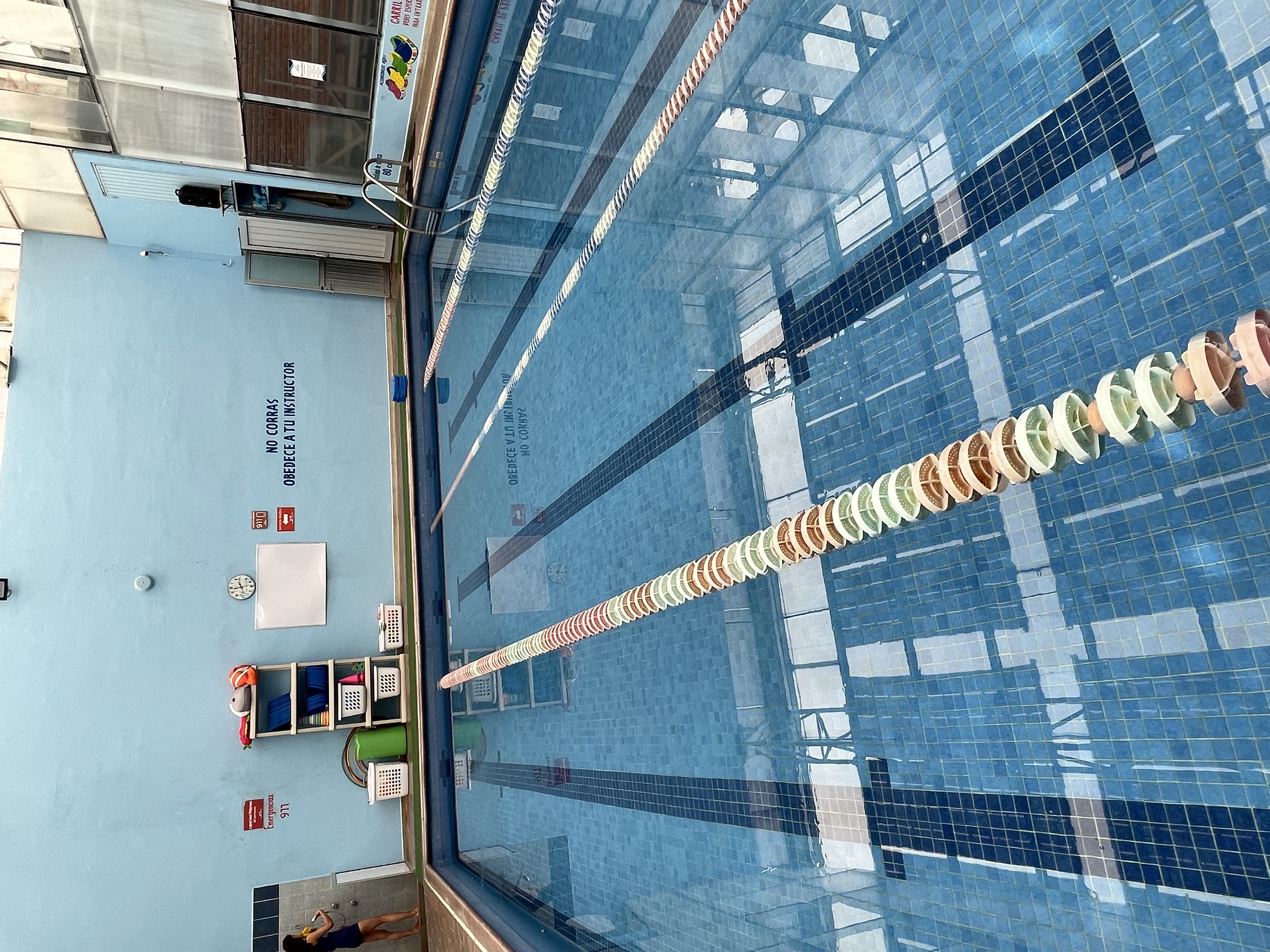Swim Life Pachuca - Escuela deportiva en Pachuca, Hidalgo - Vista 3 de 4 de las instalaciones de la academia