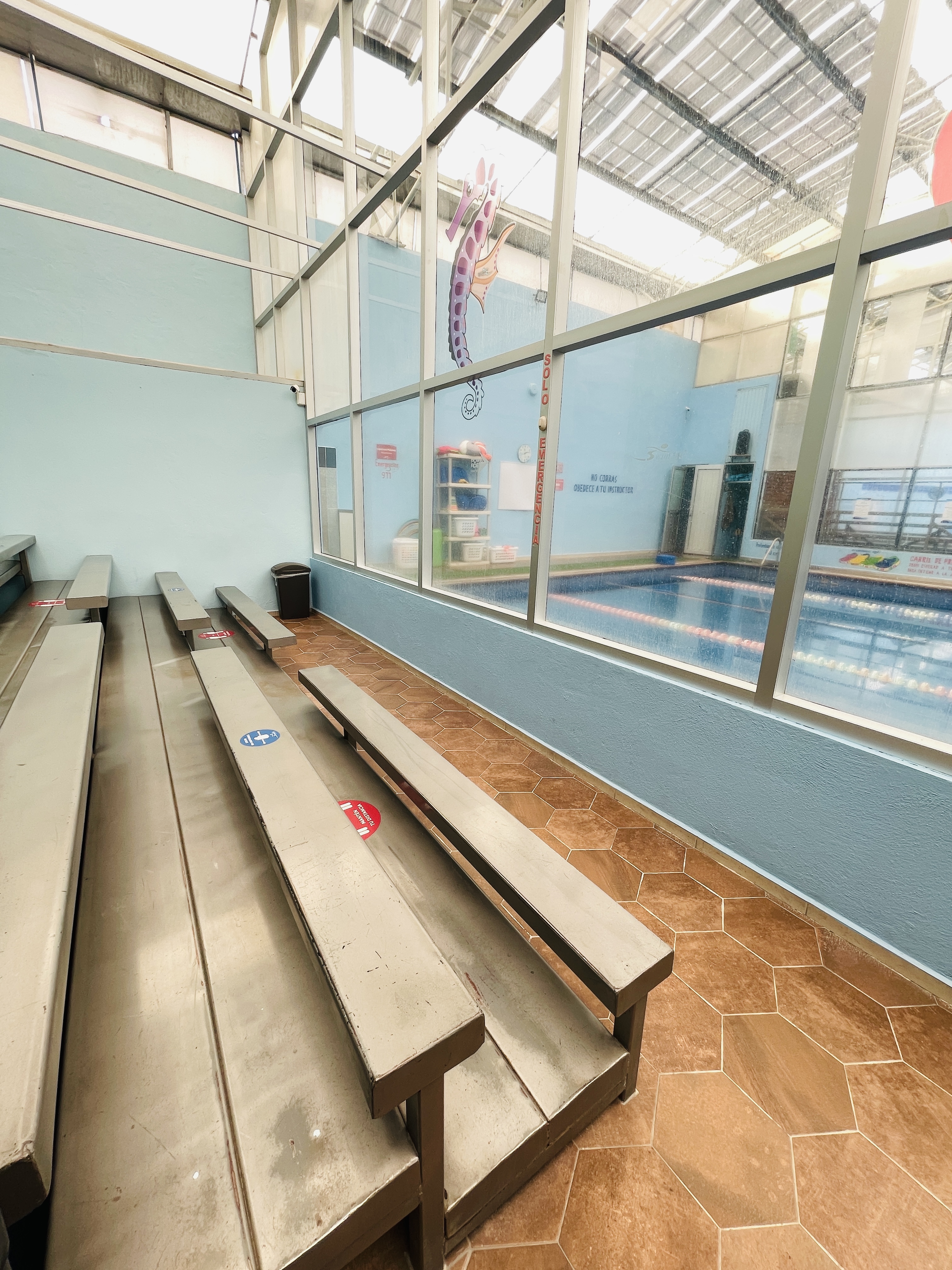 Swim Life Pachuca - Escuela deportiva en Pachuca, Hidalgo - Vista 4 de 4 de las instalaciones de la academia