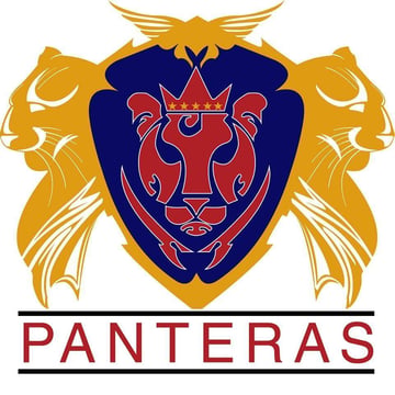 Taekwondo Panteras De Celaya - Academia en Celaya, Guanajuato - Vista 3 de 3 de las instalaciones de la academia