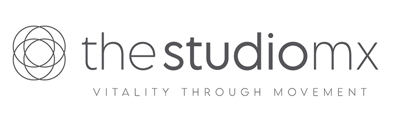 Logo de The Studio MX Marina Vallarta