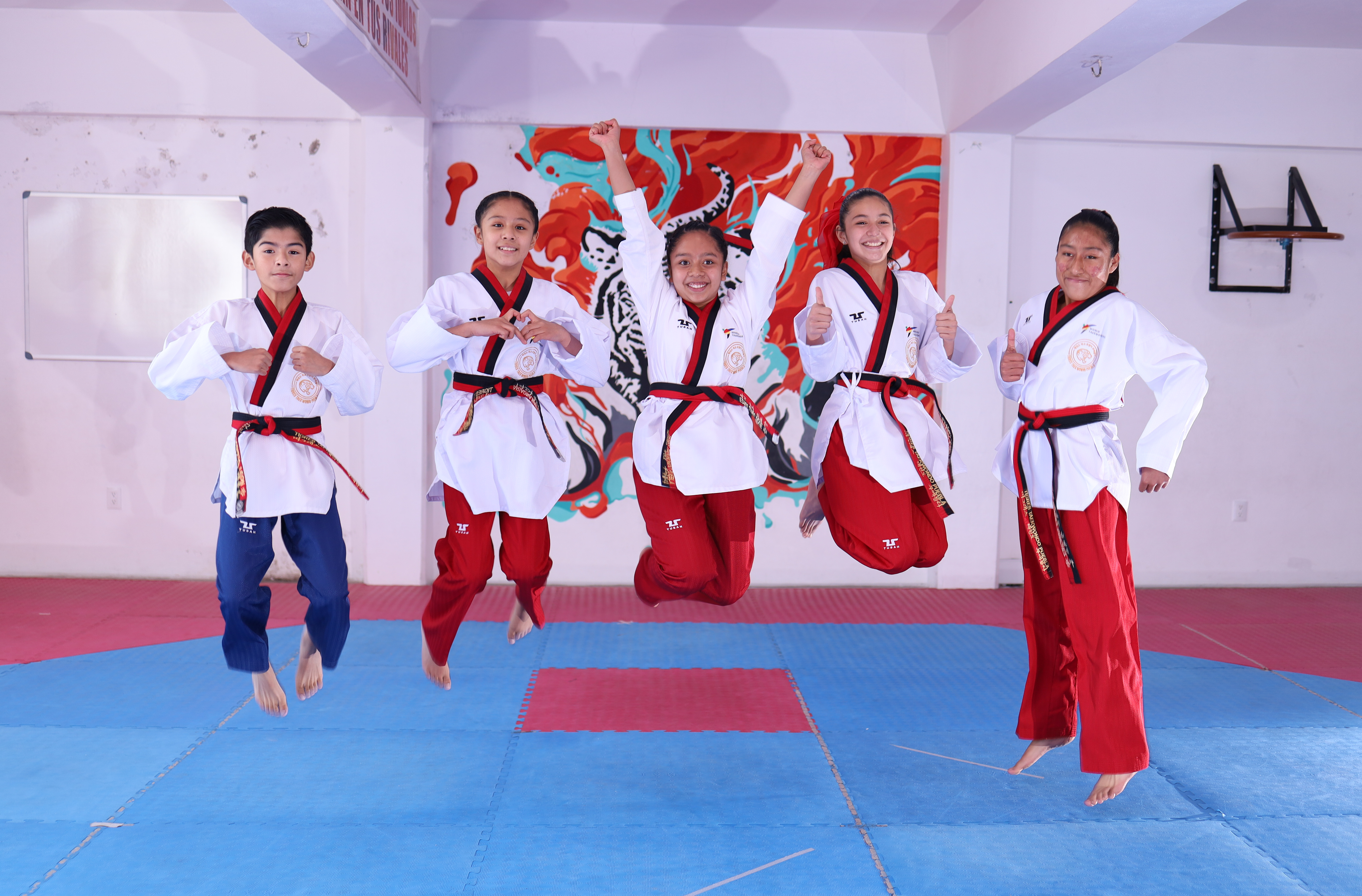 Tigres Taekwondo - Escuela deportiva en Puebla, Puebla - Vista 2 de 4 del perfil