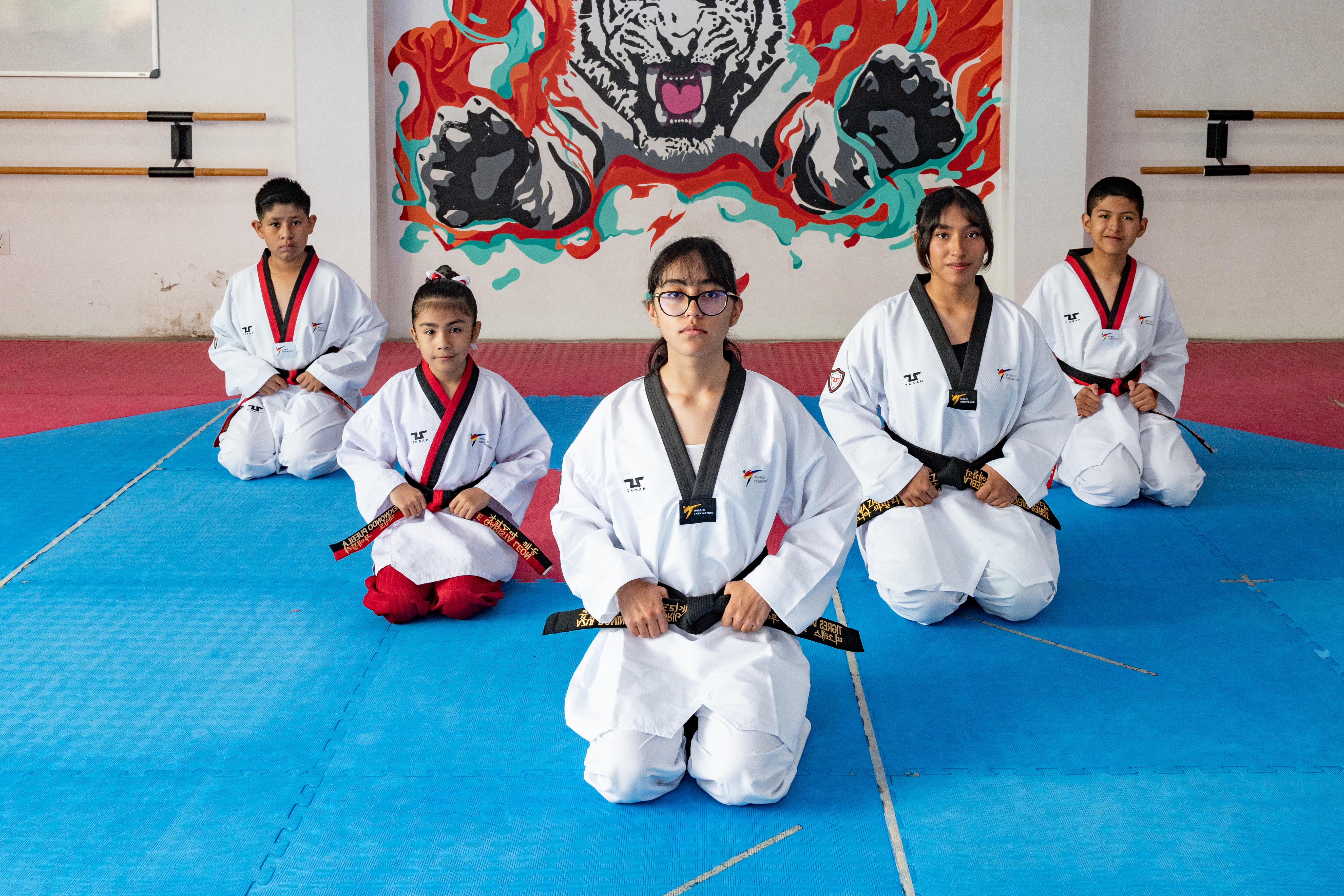Tigres Taekwondo - Escuela deportiva en Puebla, Puebla - Vista 3 de 4 del perfil