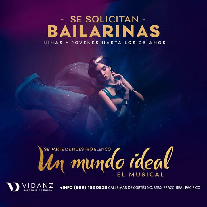 Vidanz - Academia en Mazatlán, Sinaloa - Vista 5 de 7 de las instalaciones de la academia