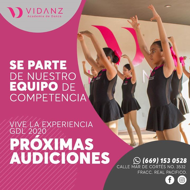 Vidanz - Academia en Mazatlán, Sinaloa - Vista 6 de 7 de las instalaciones de la academia