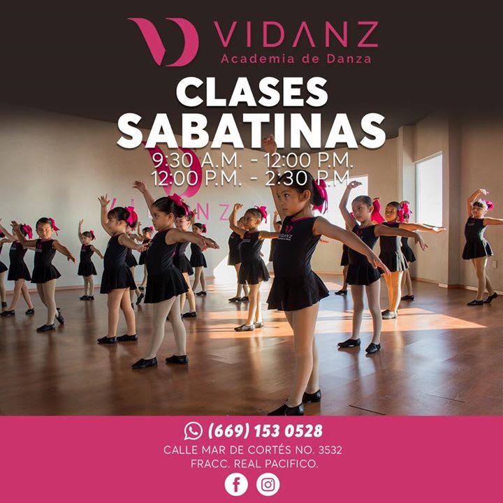 Vidanz - Academia en Mazatlán, Sinaloa - Vista 7 de 7 de las instalaciones de la academia