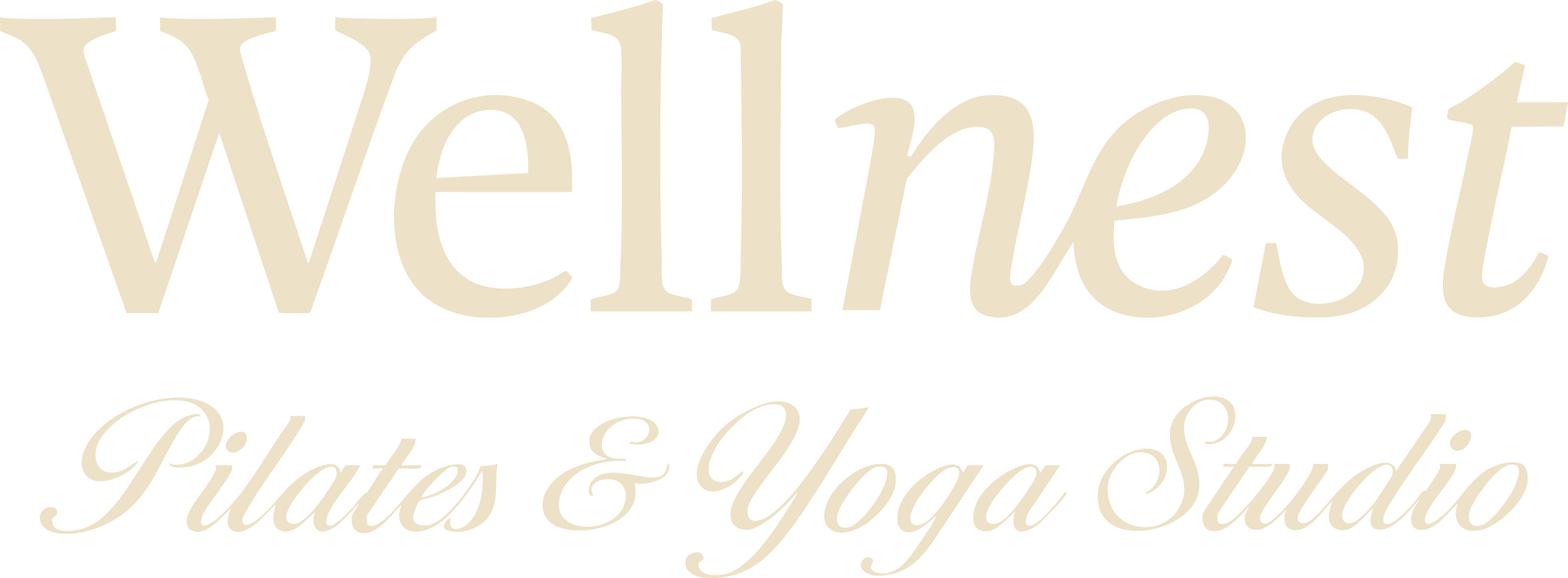 Logo de Wellnest Pilates & Yoga Studio