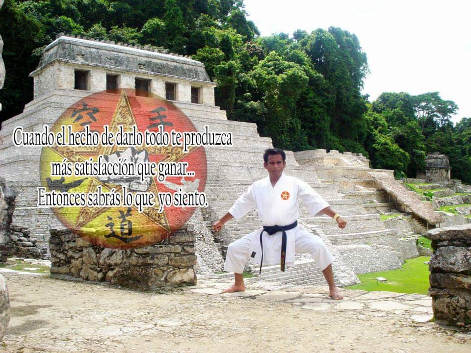 Yoshitaka - Centro de artes marciales - Estudio en Tlalnepantla, Estado de México - Vista 3 de 3 de las instalaciones de la academia